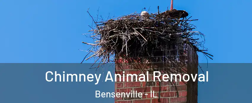  Chimney Animal Removal Bensenville - IL
