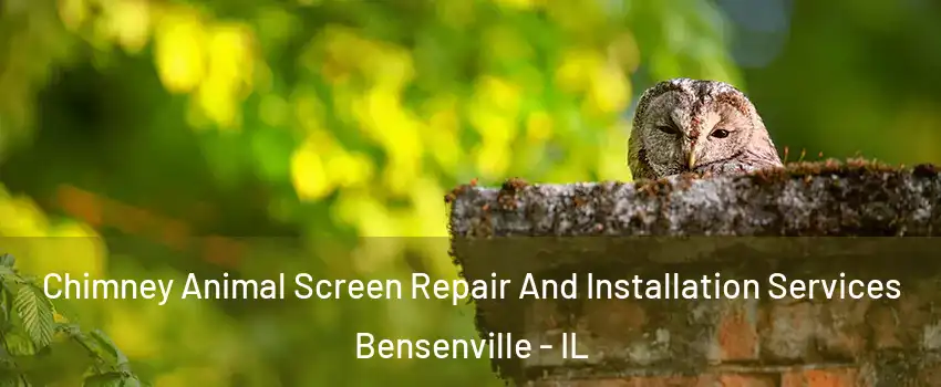  Chimney Animal Screen Repair And Installation Services Bensenville - IL
