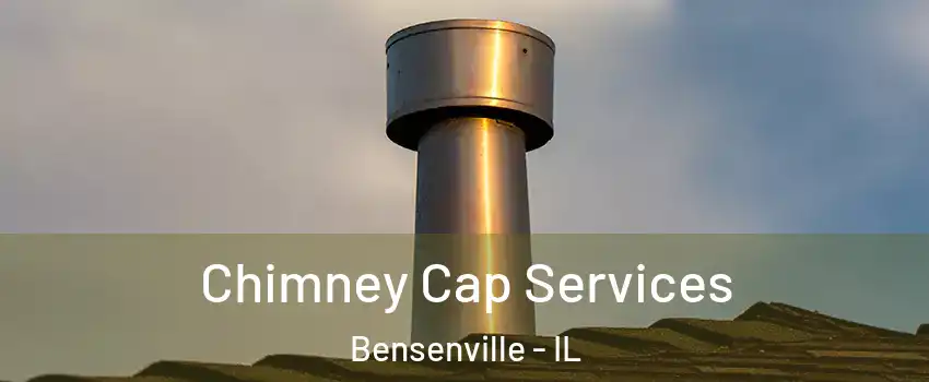 Chimney Cap Services Bensenville - IL