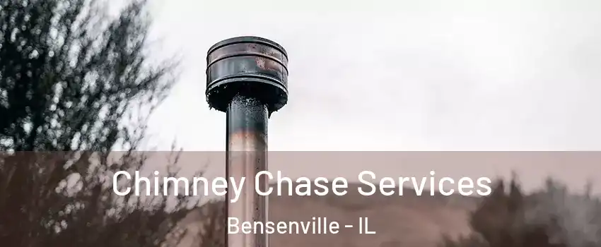 Chimney Chase Services Bensenville - IL