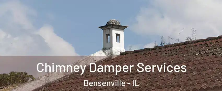  Chimney Damper Services Bensenville - IL