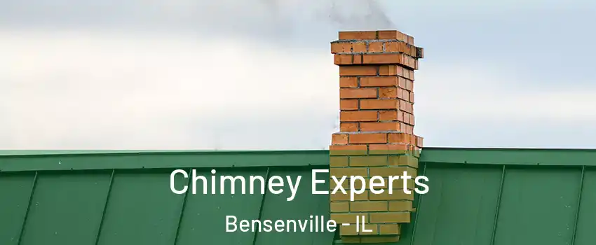  Chimney Experts Bensenville - IL