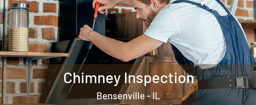  Chimney Inspection Bensenville - IL