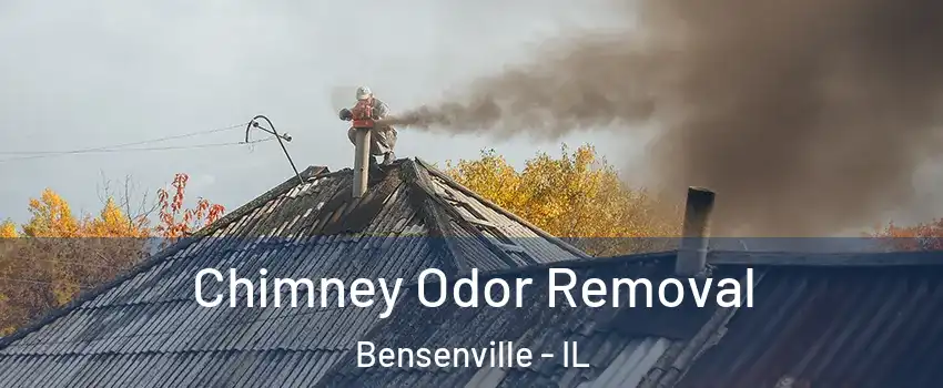  Chimney Odor Removal Bensenville - IL
