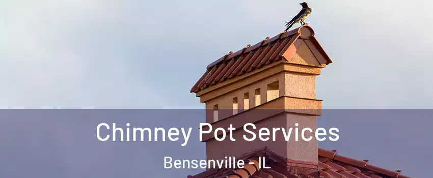  Chimney Pot Services Bensenville - IL