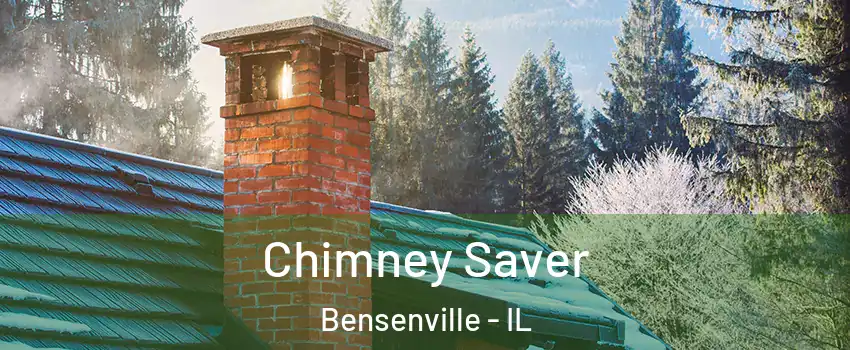  Chimney Saver Bensenville - IL