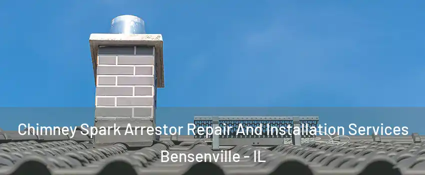  Chimney Spark Arrestor Repair And Installation Services Bensenville - IL