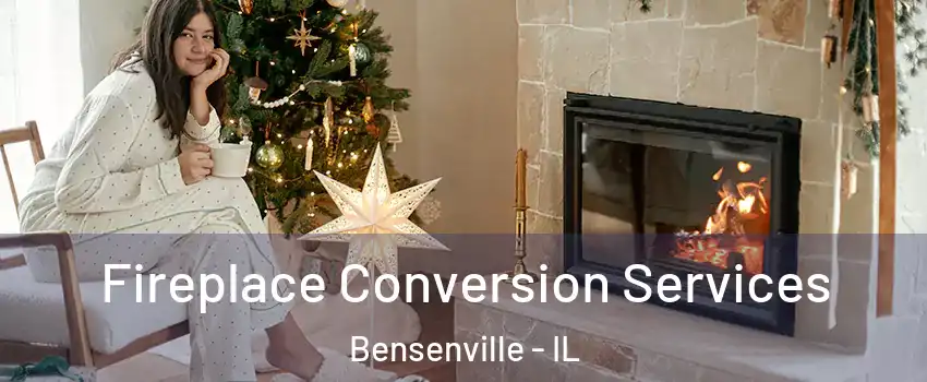  Fireplace Conversion Services Bensenville - IL