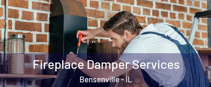  Fireplace Damper Services Bensenville - IL
