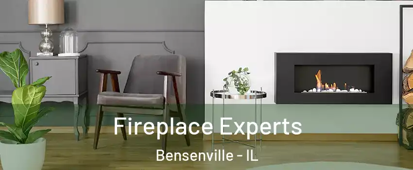  Fireplace Experts Bensenville - IL
