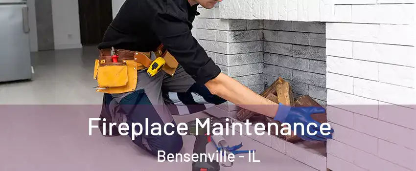  Fireplace Maintenance Bensenville - IL