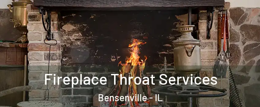  Fireplace Throat Services Bensenville - IL