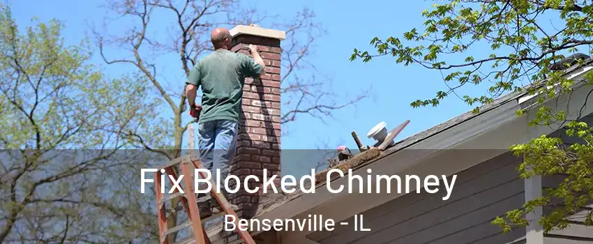  Fix Blocked Chimney Bensenville - IL