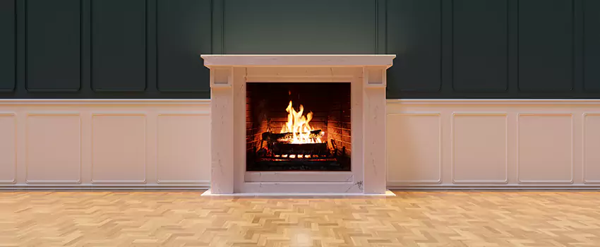 Napoleon Electric Fireplaces Inspection Service in Bensenville, Illinois