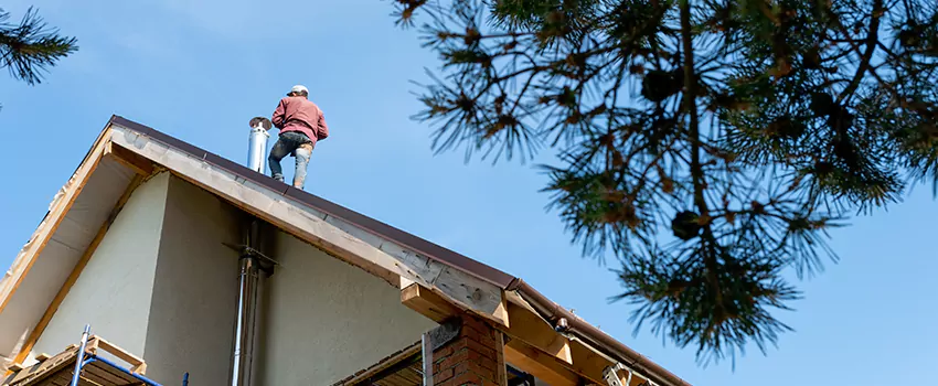 Birds Removal Contractors from Chimney in Bensenville, IL