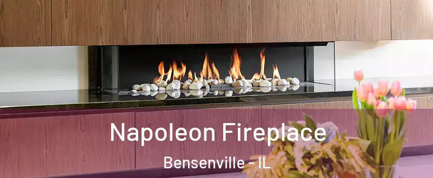  Napoleon Fireplace Bensenville - IL