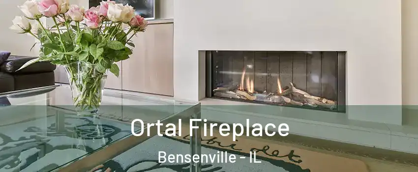  Ortal Fireplace Bensenville - IL